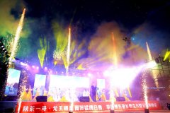 文化学者张龙总统筹歌唱
