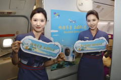 乘山东航空，游好客山东