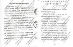 辽宁朝阳国资借资民企地