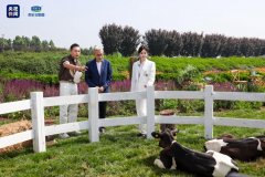央视新闻探访君乐宝奶粉