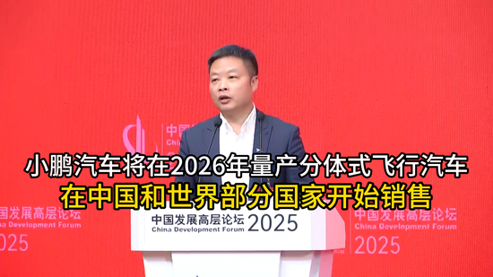 小鹏汽车将在2026年量产分