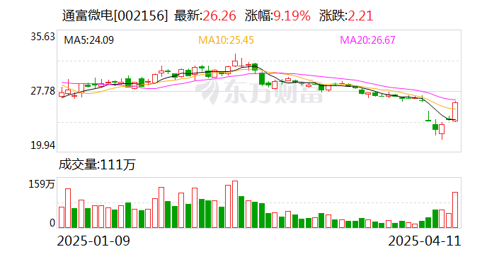 通富微电：2024年净利润同