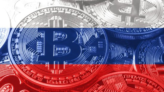 机构：截至2025年上半年末