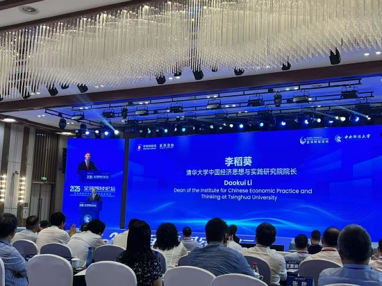 李稻葵：建议政府对闲置