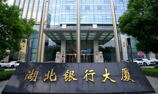 湖北消金原董事长状告老