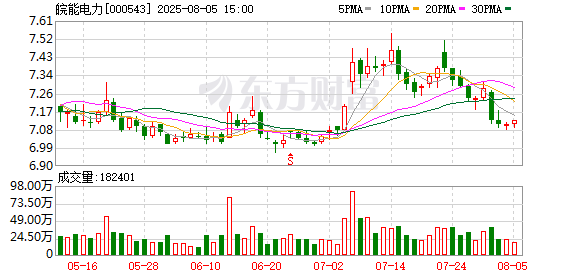 皖能电力：公司控股股东