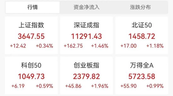 A股又大涨，火速研判！“